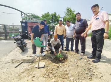 Environment Day 2025